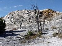 Yellowstone Mammoth Hotsprings (42).JPG